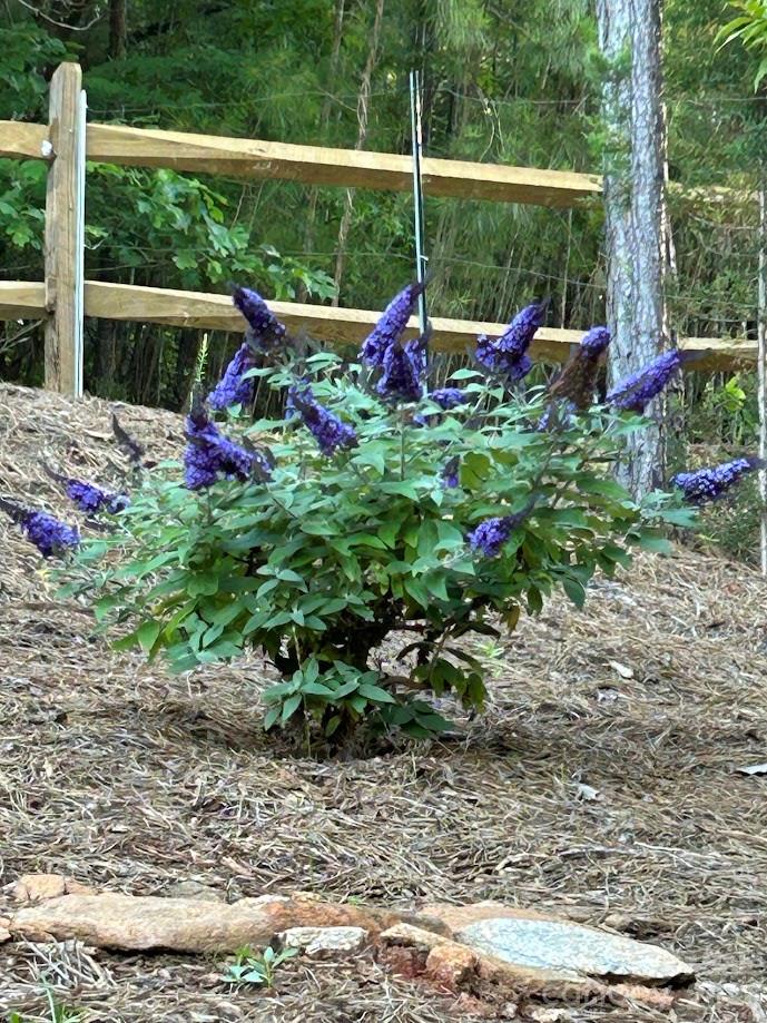 Clearwater Creek - Residential