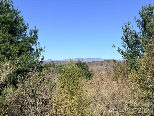 PINNEY CREEK SCHL RD, PINEY CREEK, NC 28663 - Image 8ed95ecb4943fbfa240d129b0d52d309/3013286945