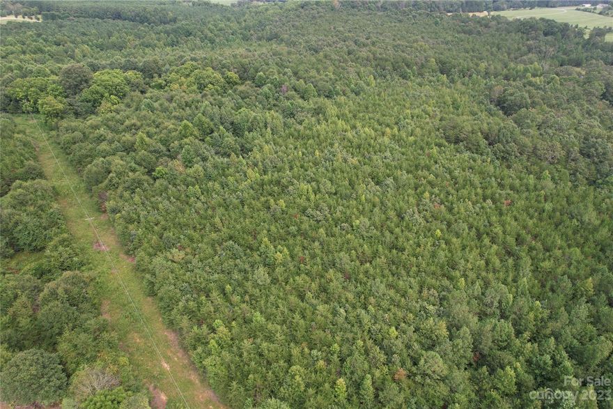 The largest of the three distinct sections within this offering, spanning an impressive 53.6 acres, unveils a landscape of abundant promise. Dotted with young timber, this parcel radiates both promise and potential. Its naturally flat terrain, a rare find within such a sprawling expanse, provides a foundation of unparalleled convenience for development initiatives. As a testament to its readiness, existing electricity infrastructure graces the land, poised to power the imaginative endeavors that await. With its physical size, welcoming natural features, and the convenience of already present utilities, this parcel beckons to those inspired by the vast possibilities it holds, encouraging the creation of an enduring legacy within the heart of Rutherford County. Additional adjacent acreage available for purchase.