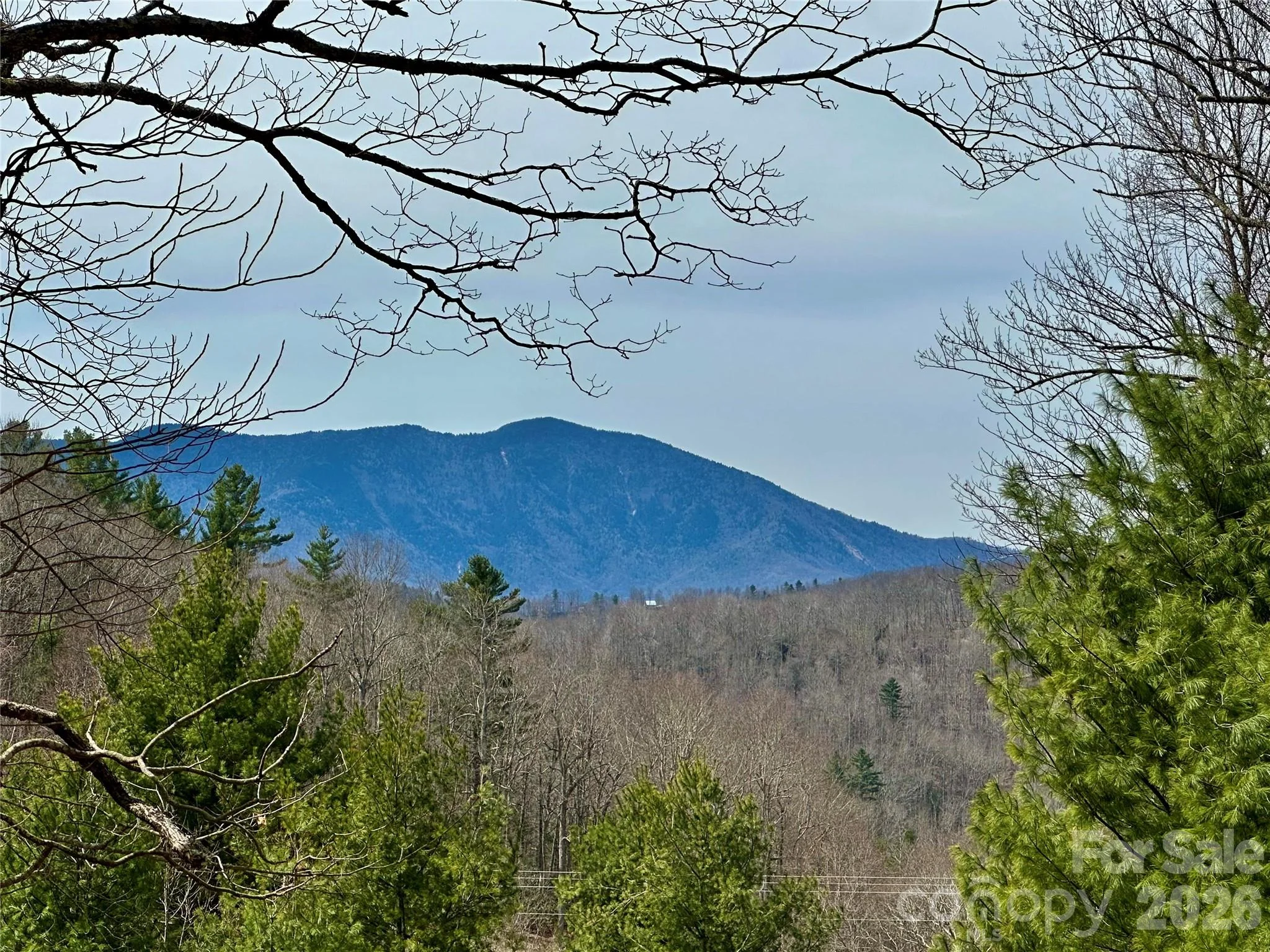 65 Blue Ridge Gem Mine Road, Little Switzerland, NC, 28777