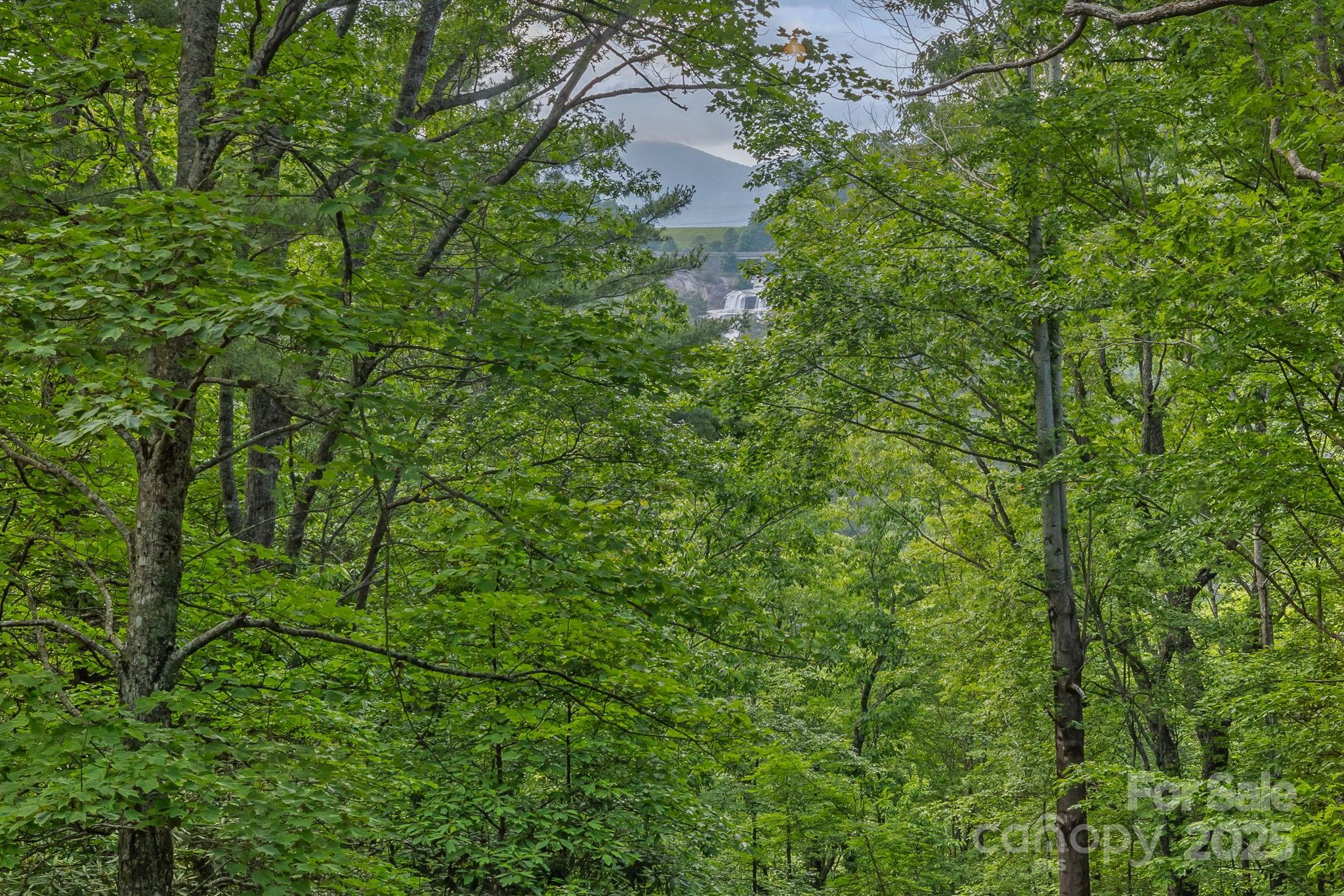 193 Falls View Drive