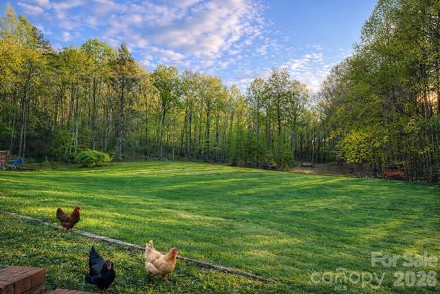 150 Little Creek Drive