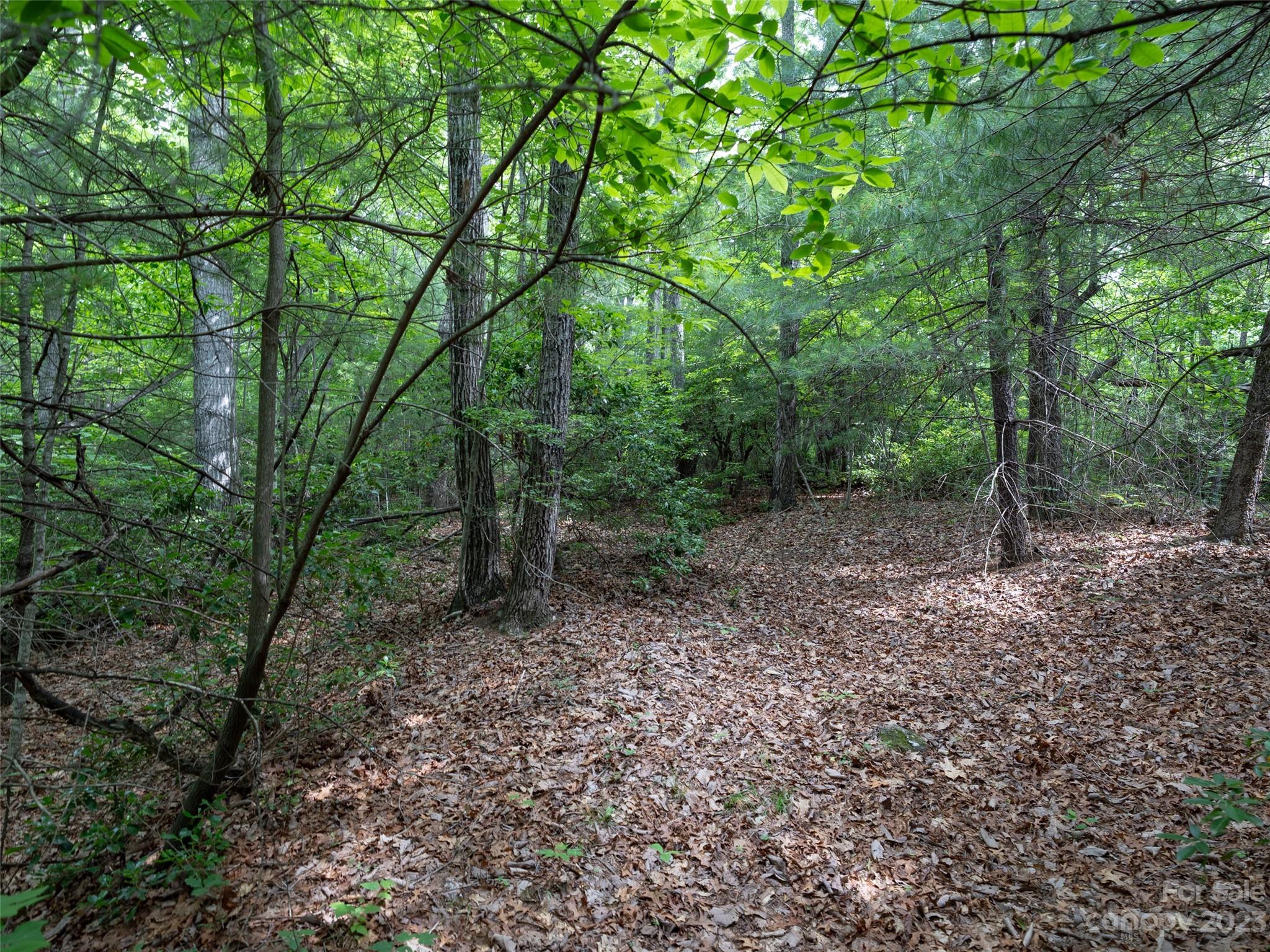 9999 Cripple Creek Trail