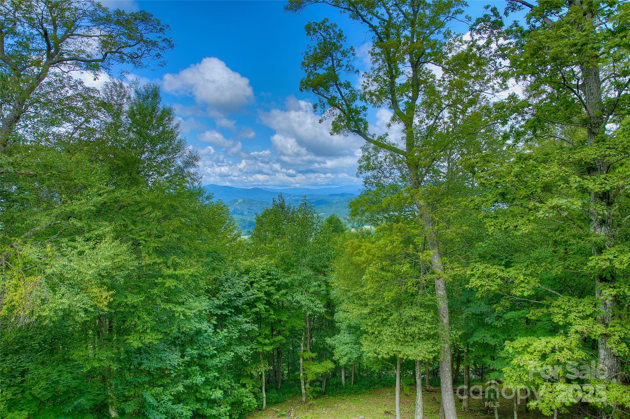 Poplar Ridge - Residential