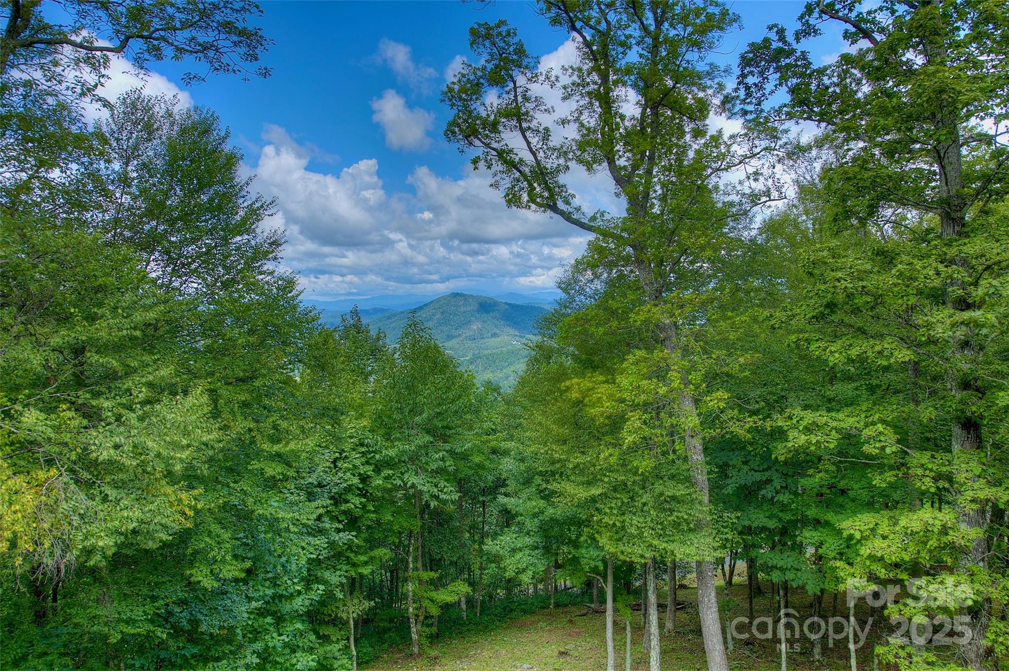 Poplar Ridge - Residential
