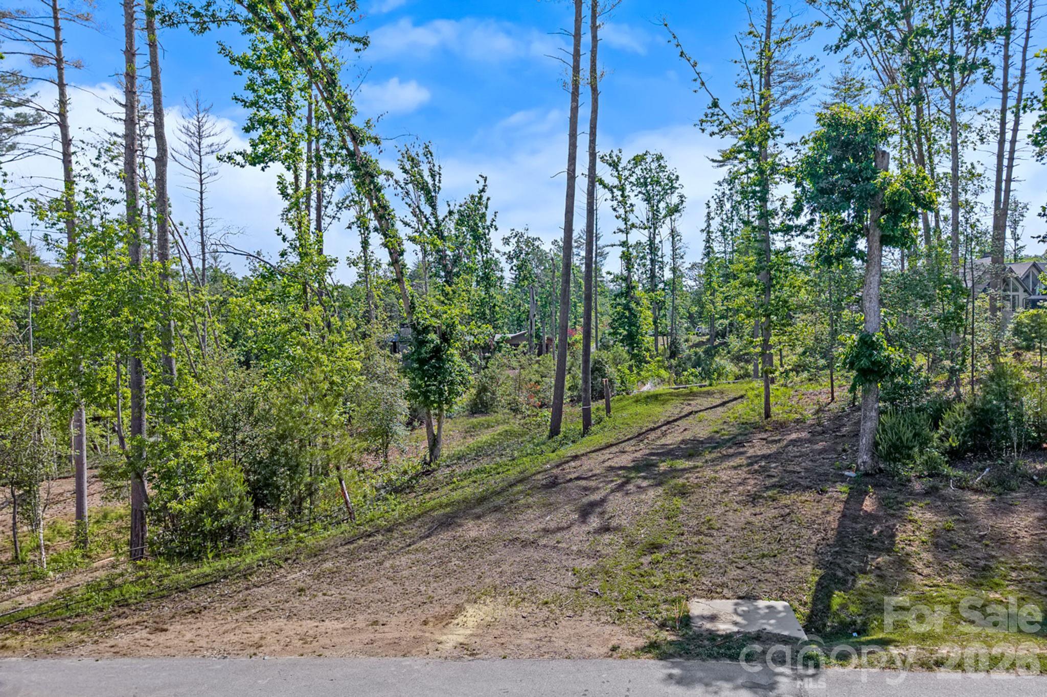 Ramble Biltmore Forest - Land