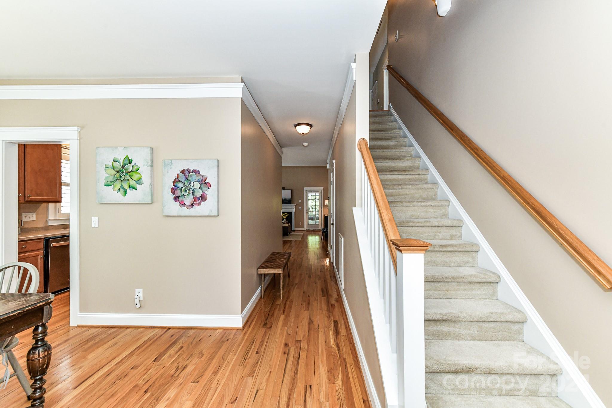 Lake Shore - Residential