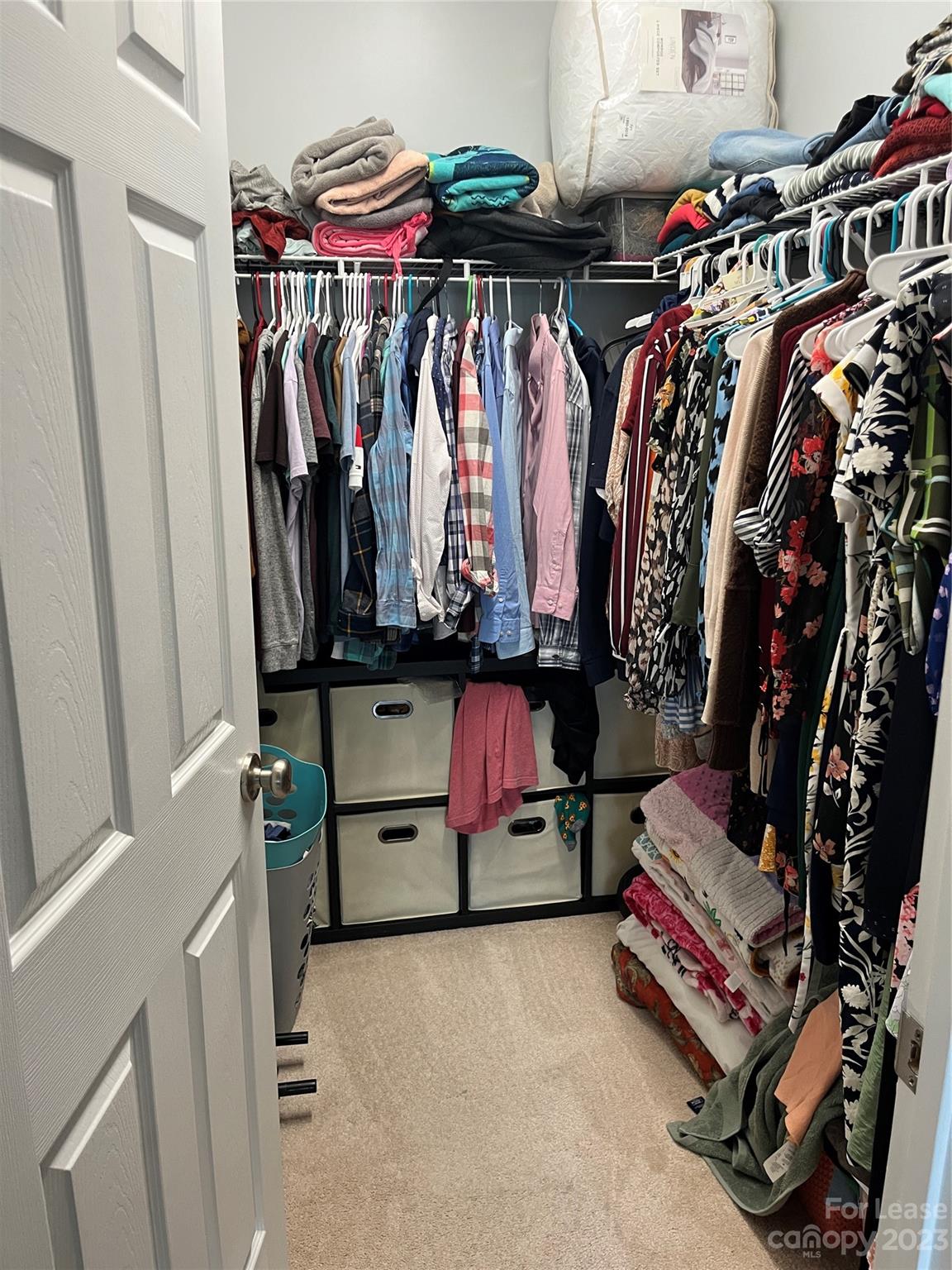 Riviera - Residential Lease