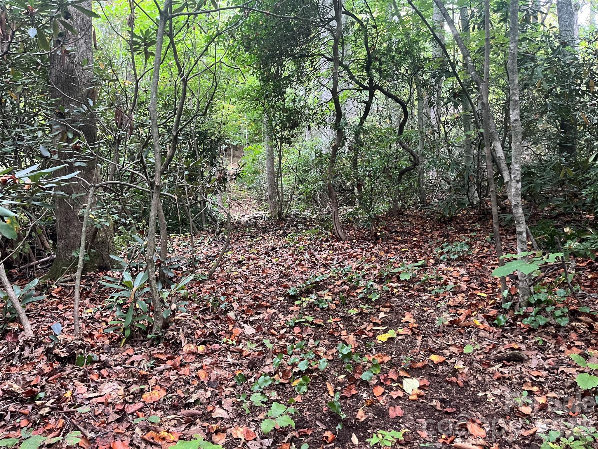 tbd Mecklenburg Circle