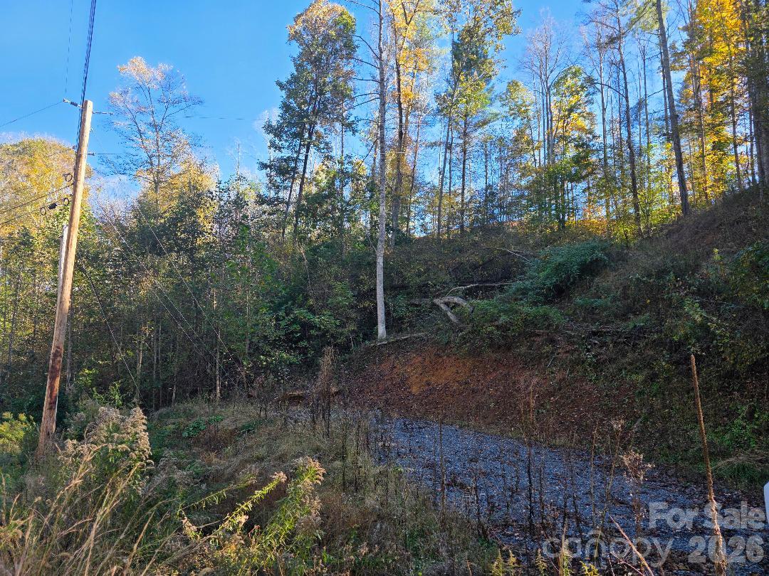 TBD Buckeye Hollow Road