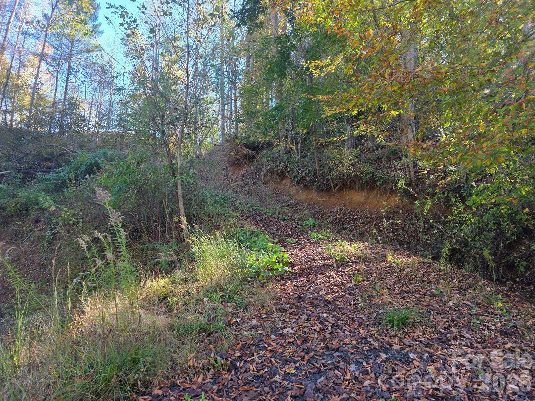 TBD Buckeye Hollow Road