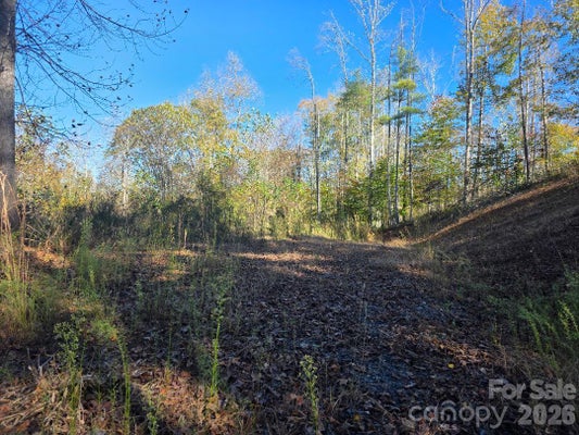 TBD BUCKEYE HOLLOW ROAD, BAKERSVILLE, NC 28705 - Image 8f53411a5e19db5887f2eab3f11f6f67/3346660907