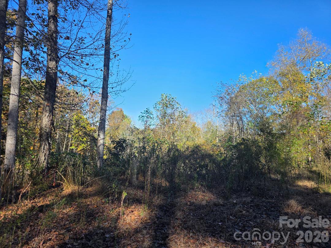 TBD Buckeye Hollow Road