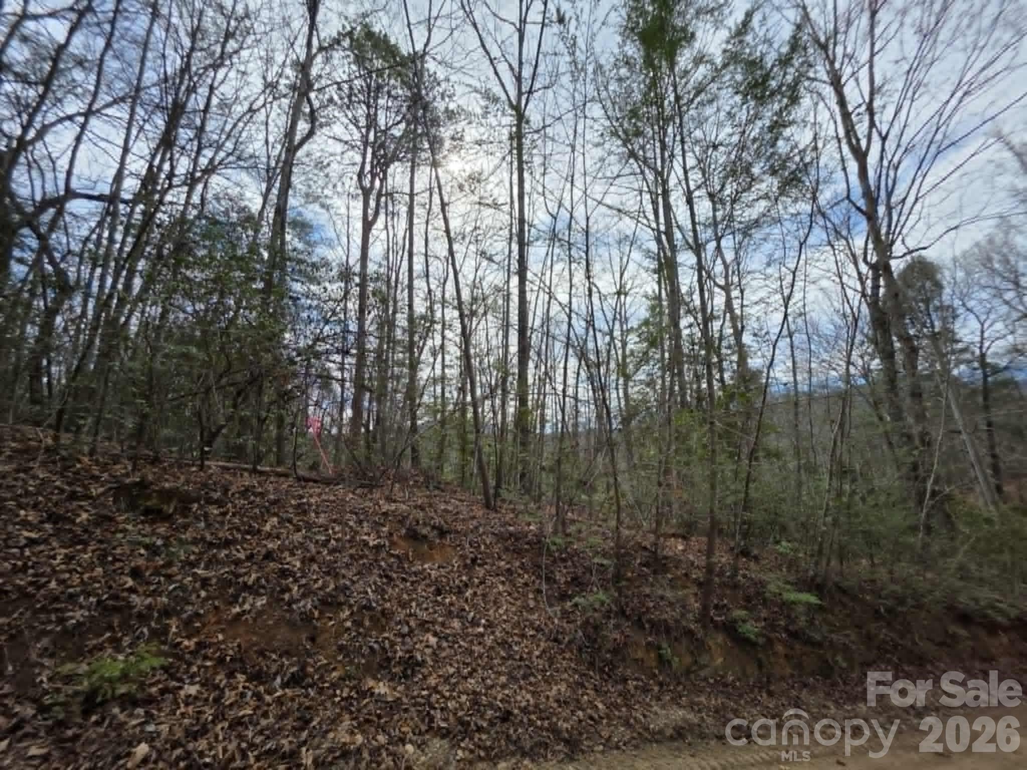 Lot 1 Kerlee Lane
