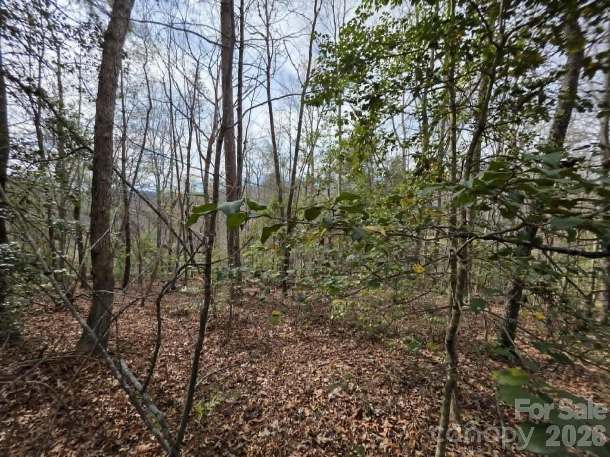Lot 1 Kerlee Lane