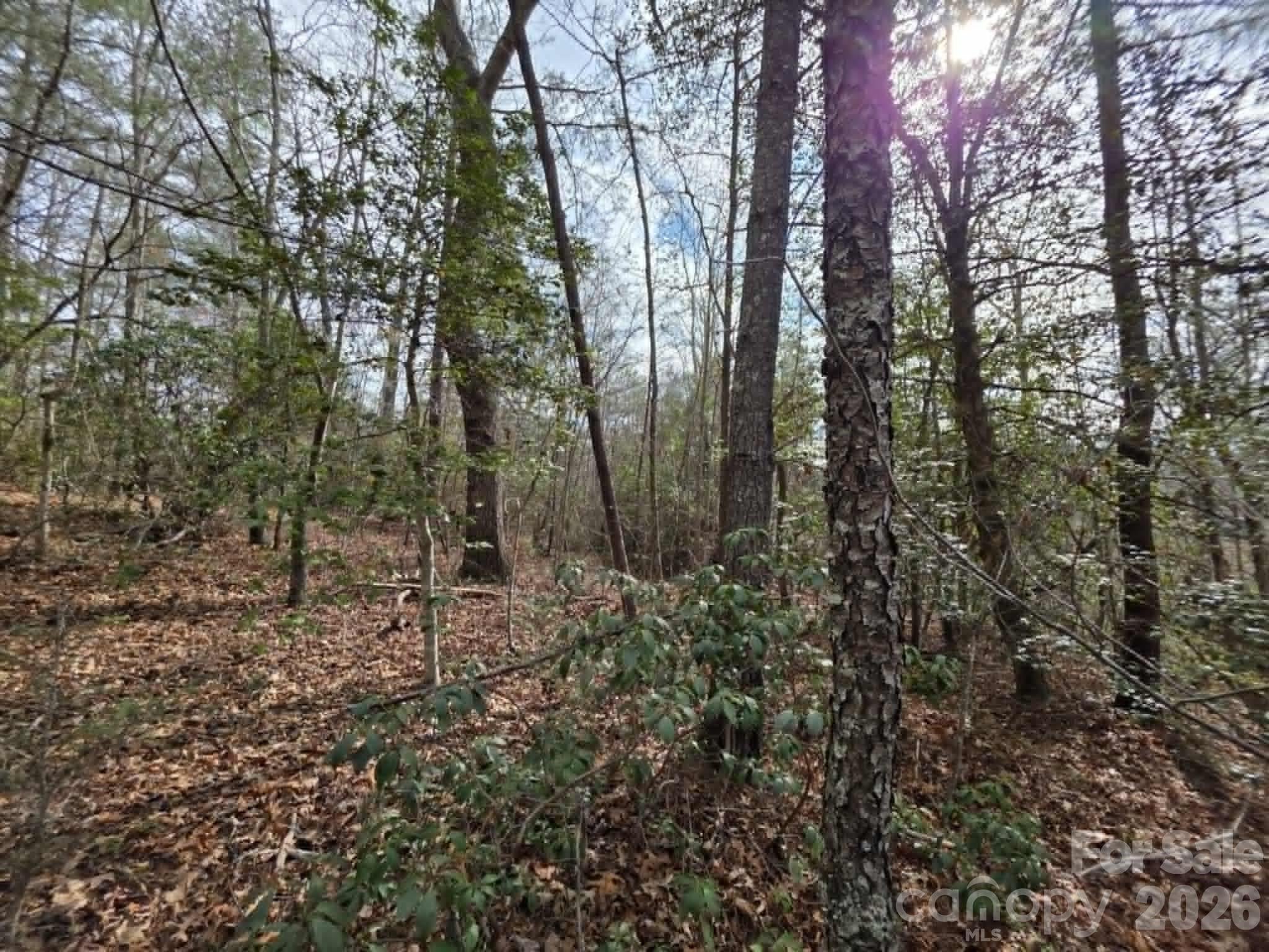 Lot 1 Kerlee Lane