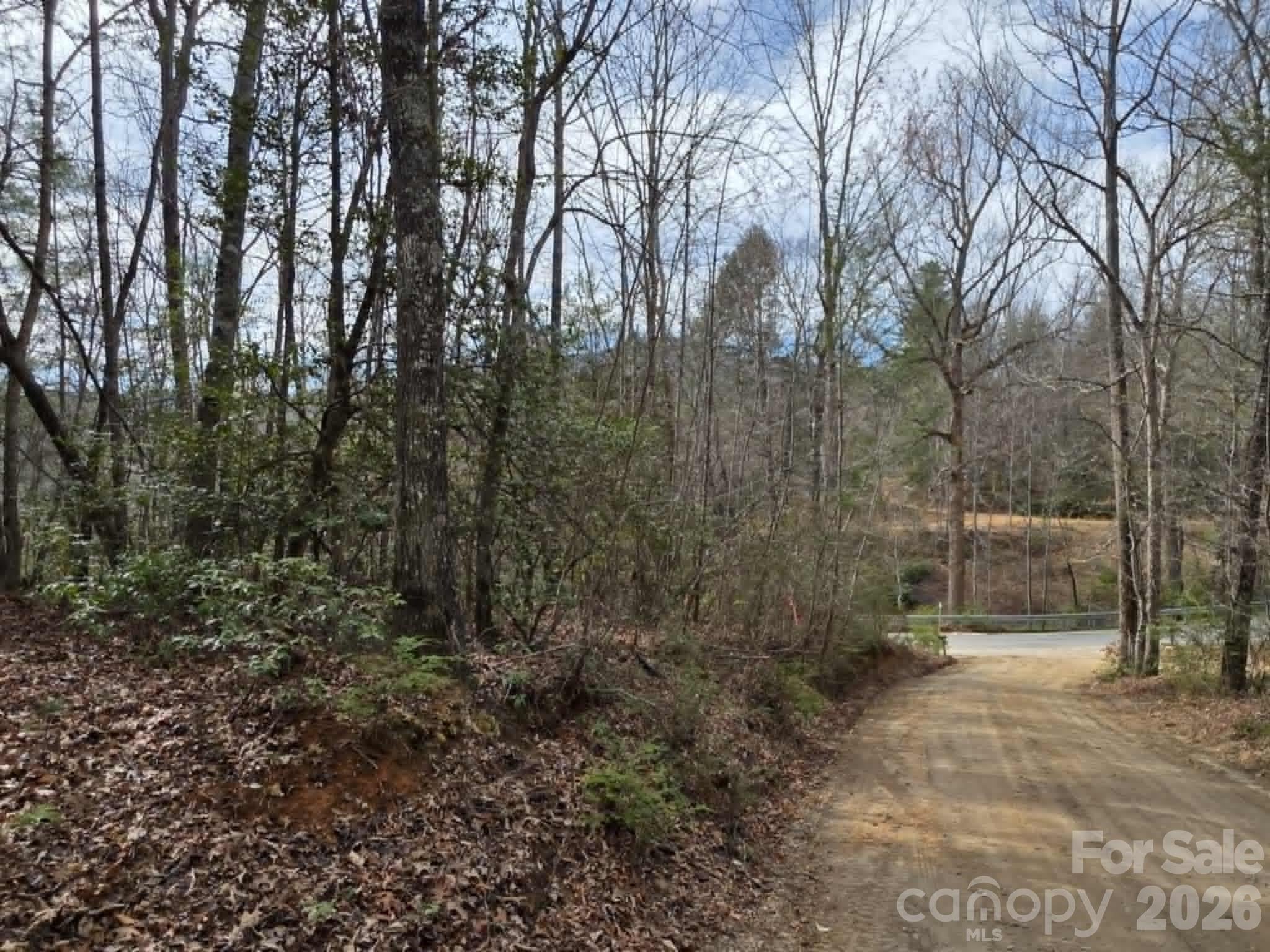 Lot 1 Kerlee Lane, Old Fort, NC, 28762