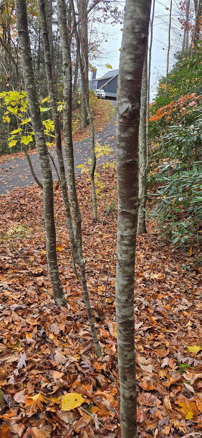 The Glens Of Ironduff - Land