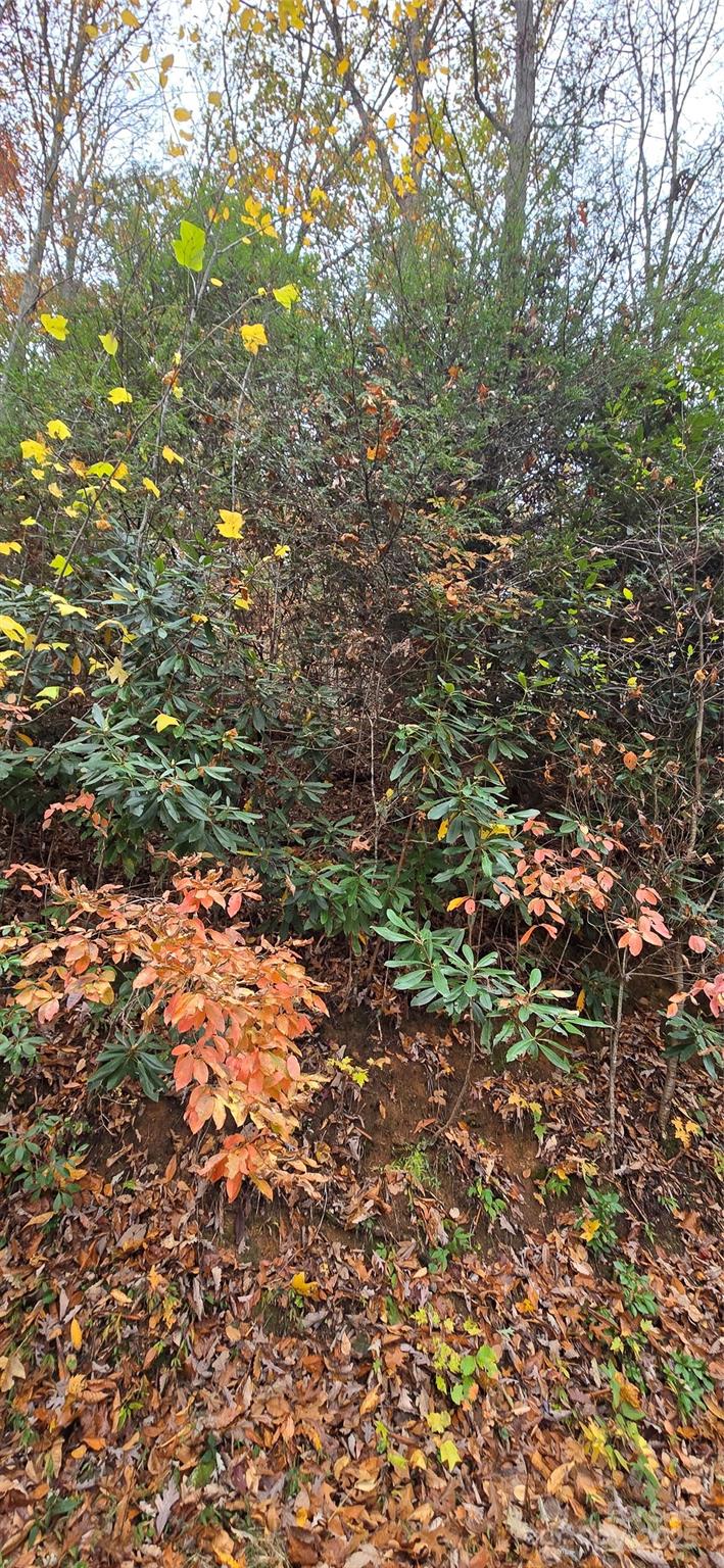 The Glens Of Ironduff - Land