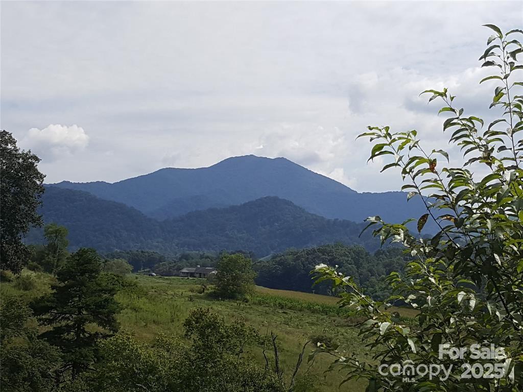 62 Turkey Hollow Court