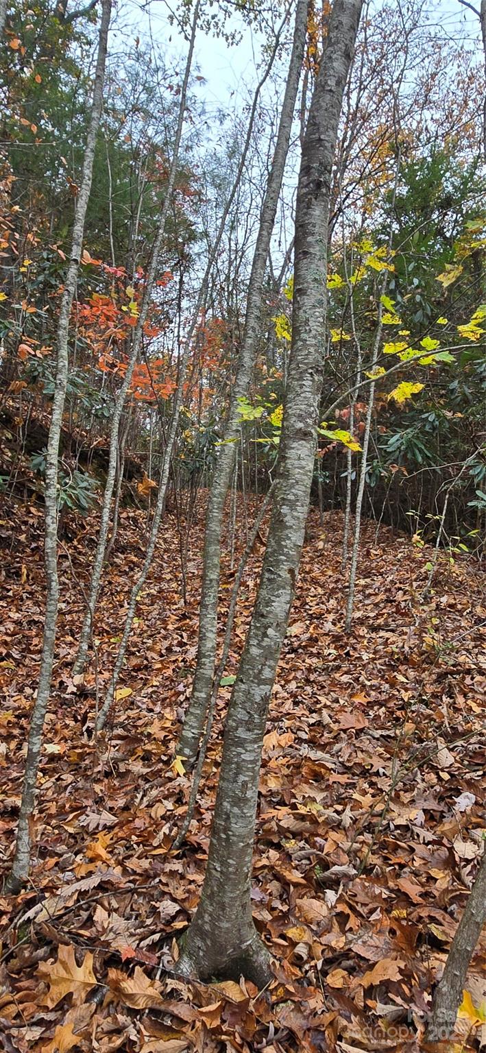 The Glens Of Ironduff - Land