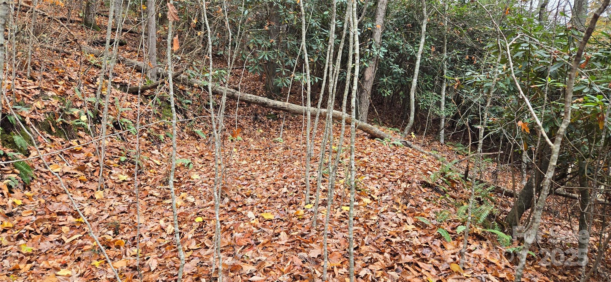 62 Turkey Hollow Court