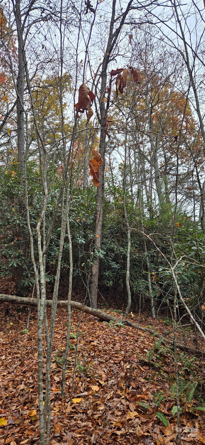 The Glens Of Ironduff - Land