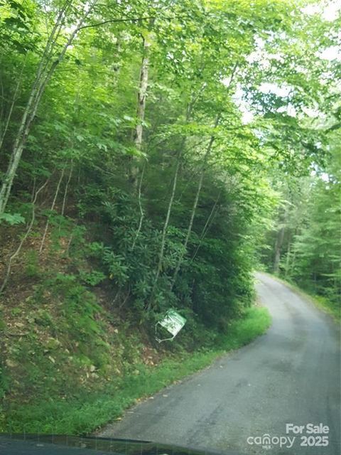 62 Turkey Hollow Court Waynesville NC 28785