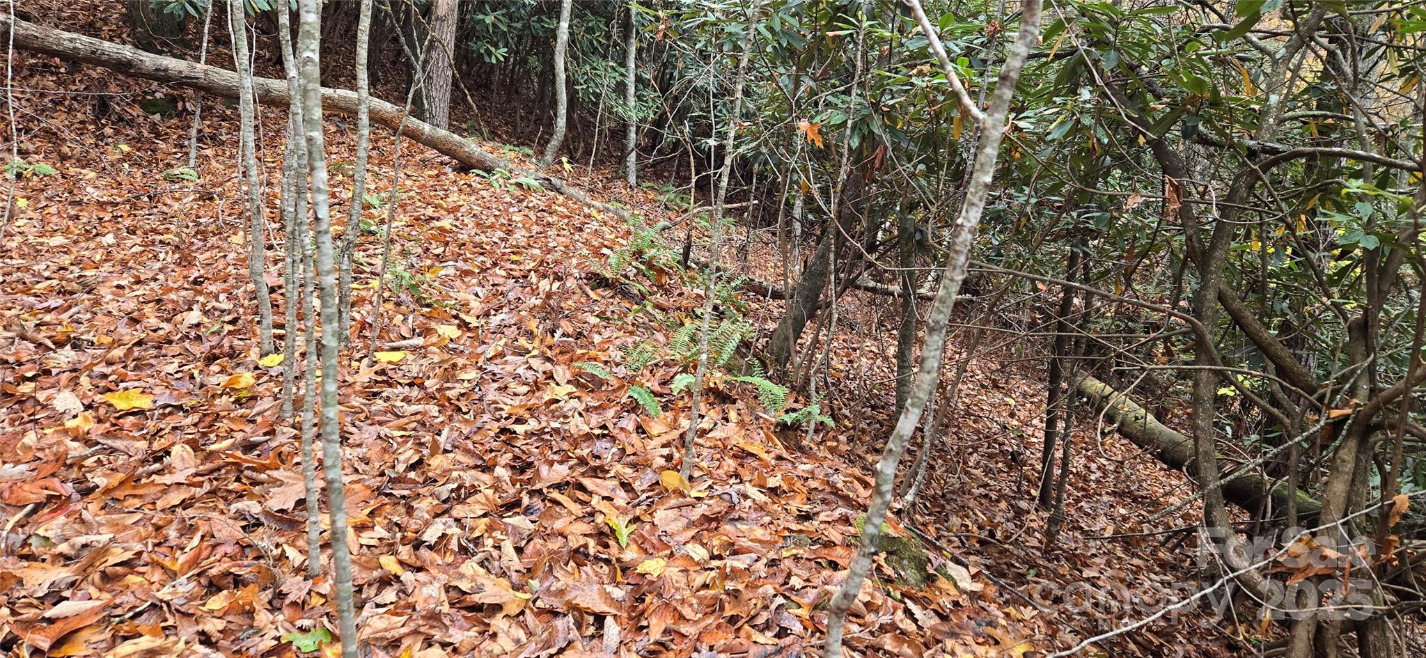 The Glens Of Ironduff - Land