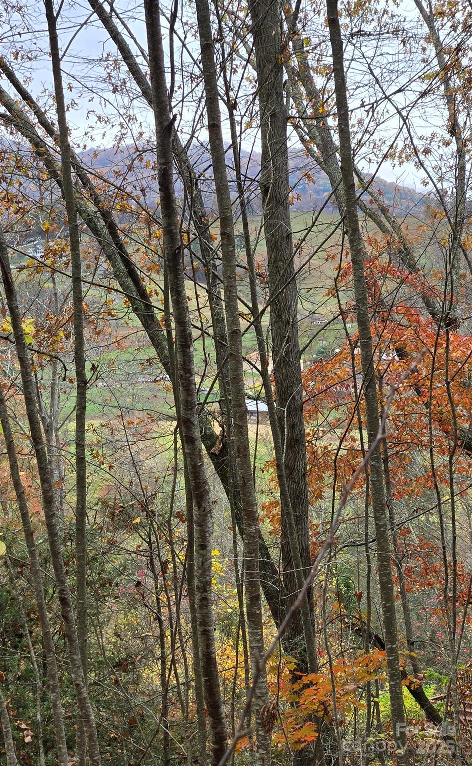 The Glens Of Ironduff - Land