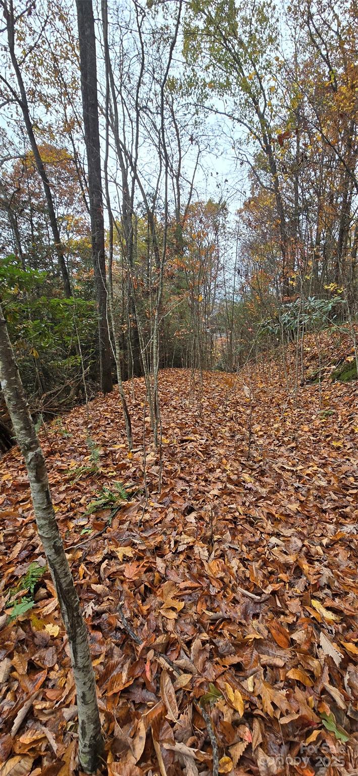 The Glens Of Ironduff - Land