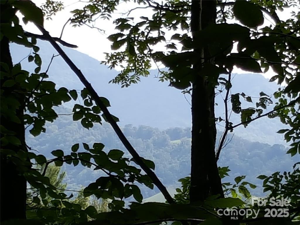 62 Turkey Hollow Court