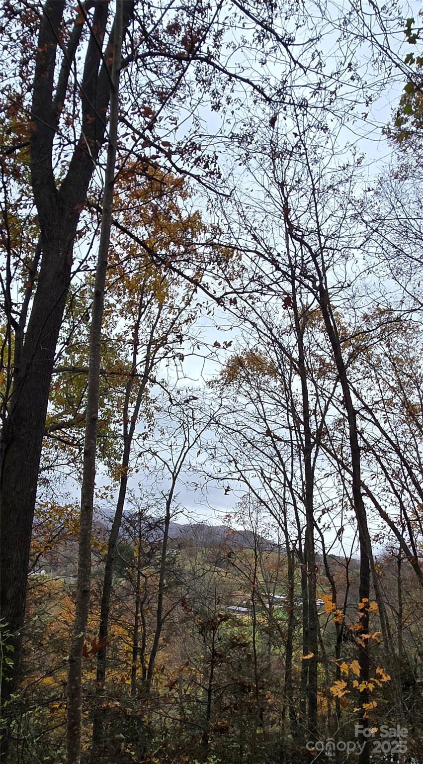 The Glens Of Ironduff - Land