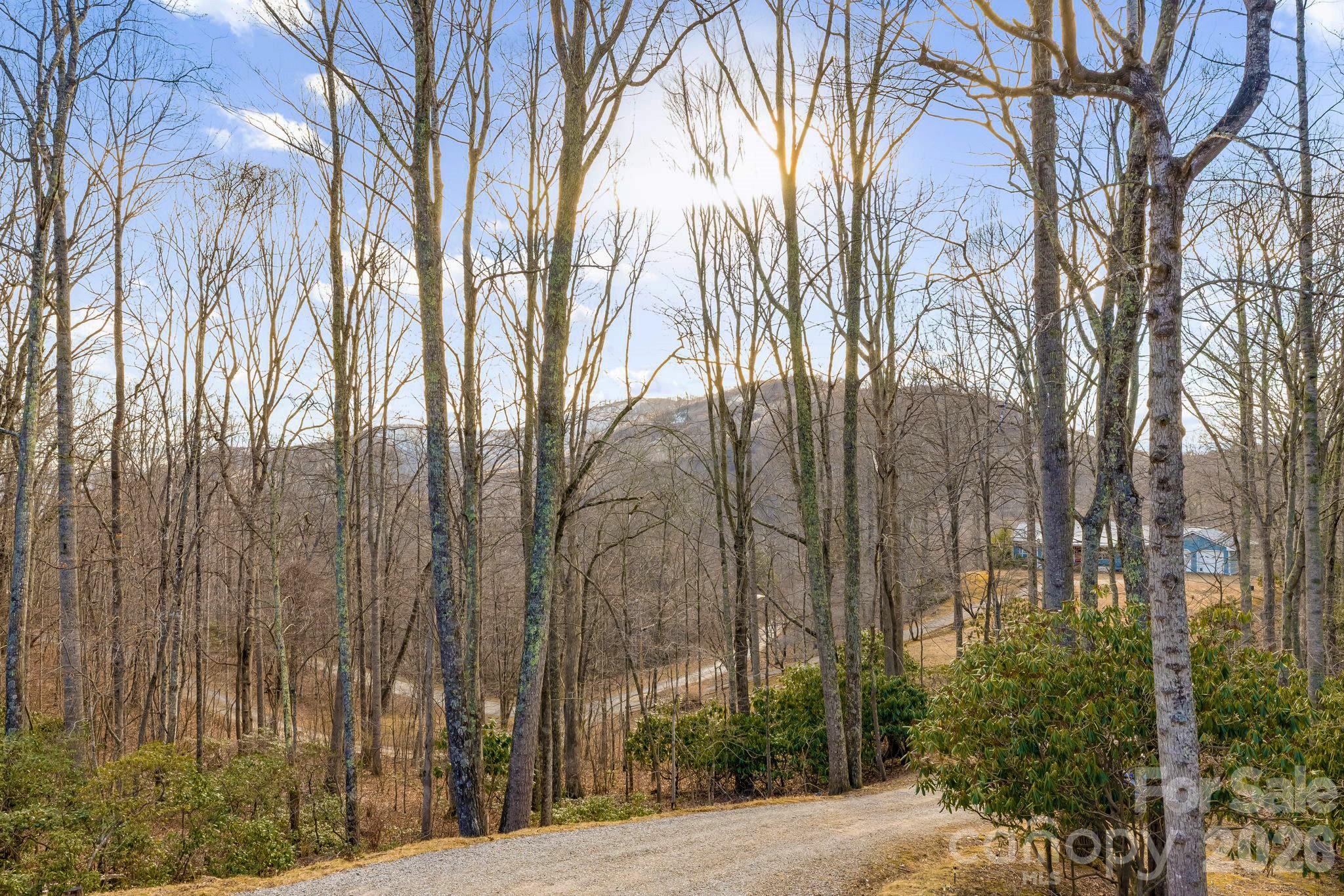 Wonderwood Mountain - Residential