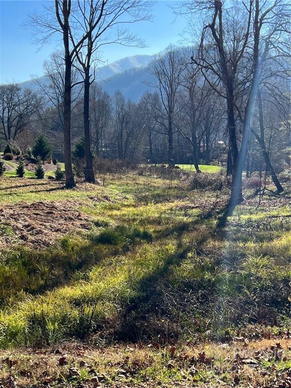 Springdale Estates - Land