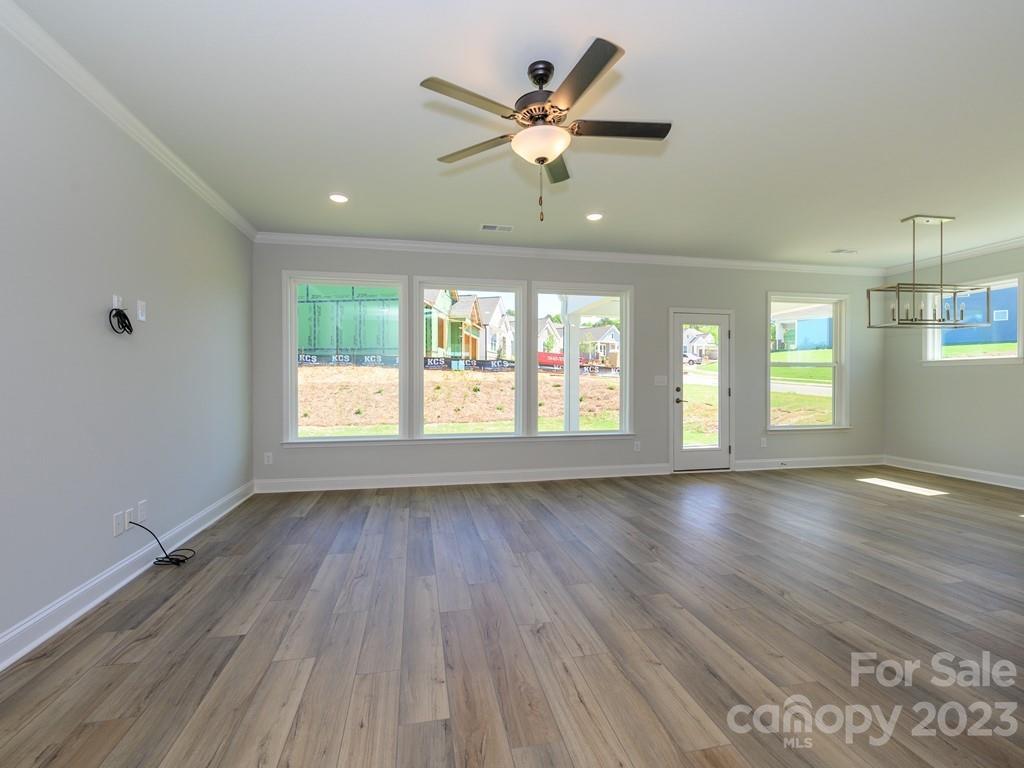 Ansley Park - Residential