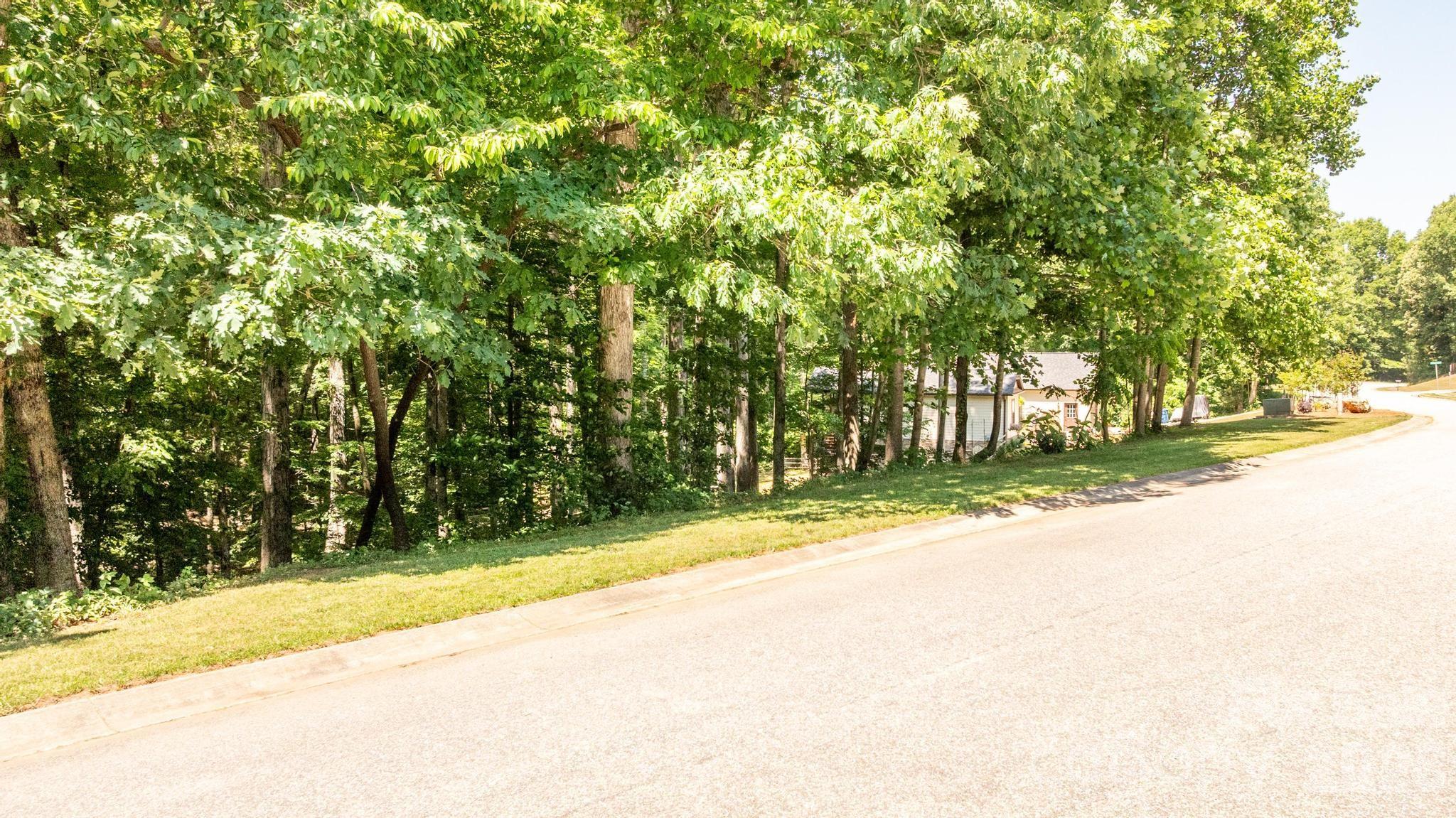 163 Shenandoah Loop