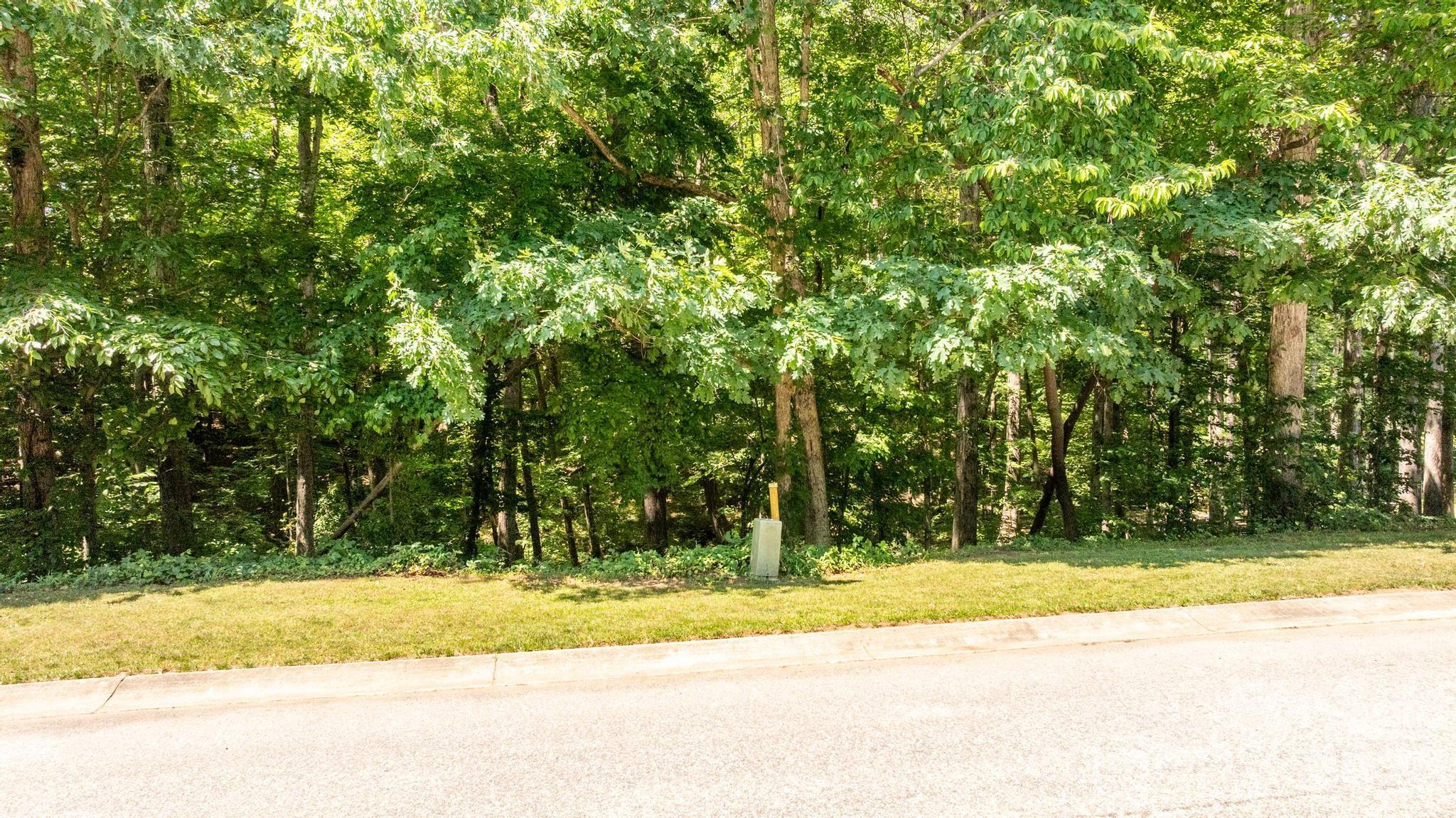 163 Shenandoah Loop