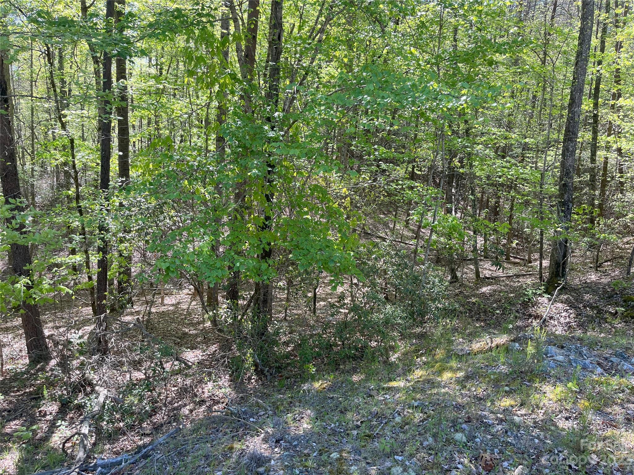 Riverbend at Lake Lure - Land