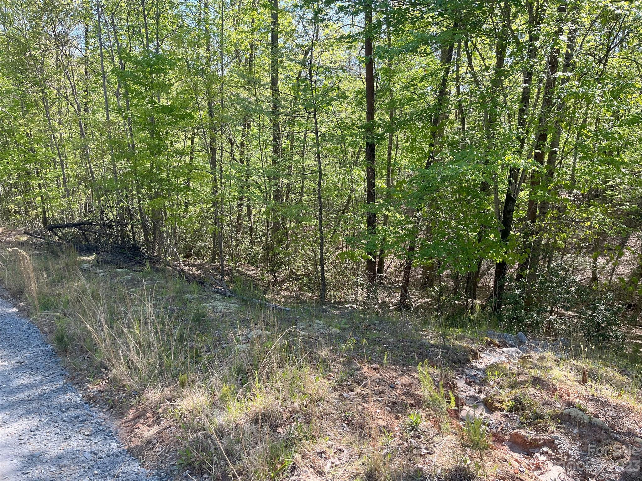 Riverbend at Lake Lure - Land
