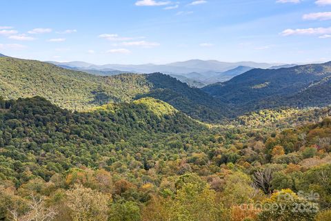 63 Running Cedar Drive Mars Hill NC 28754