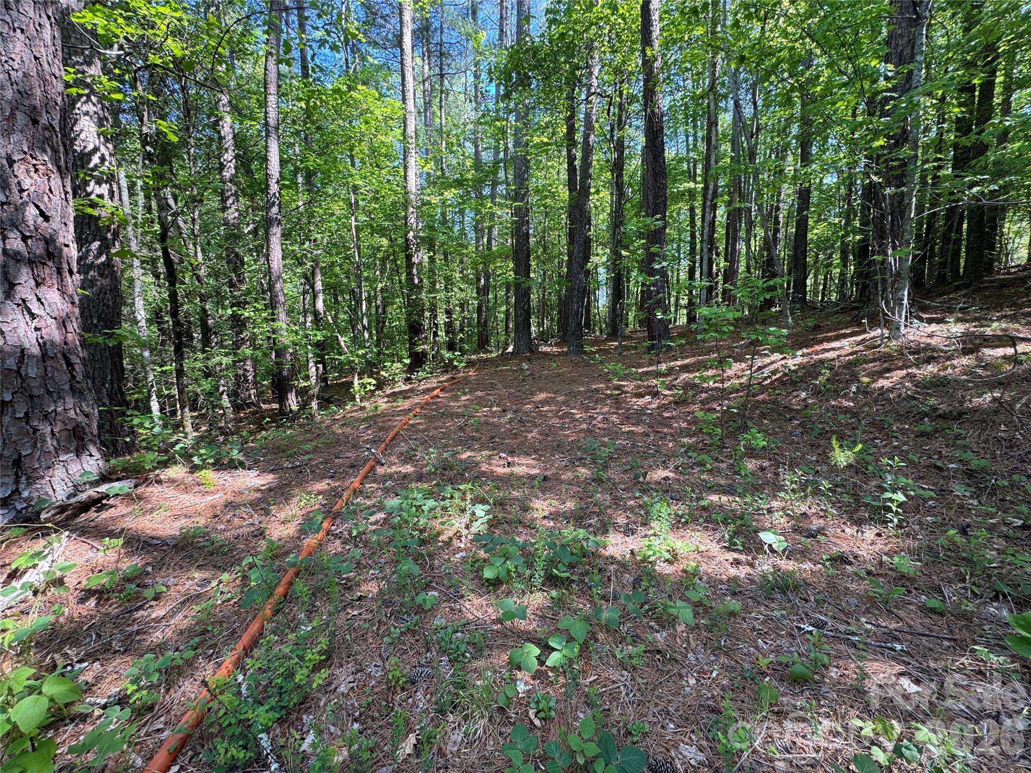0 Island Creek Road 1