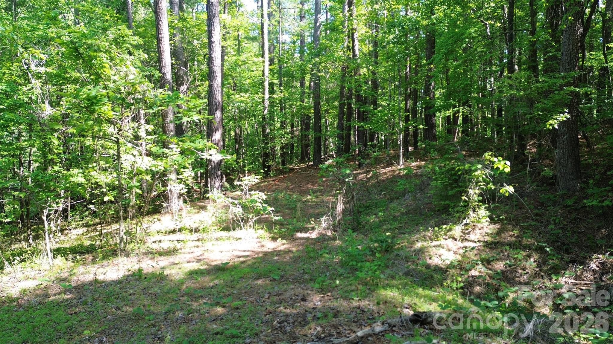 0 Island Creek Road 1