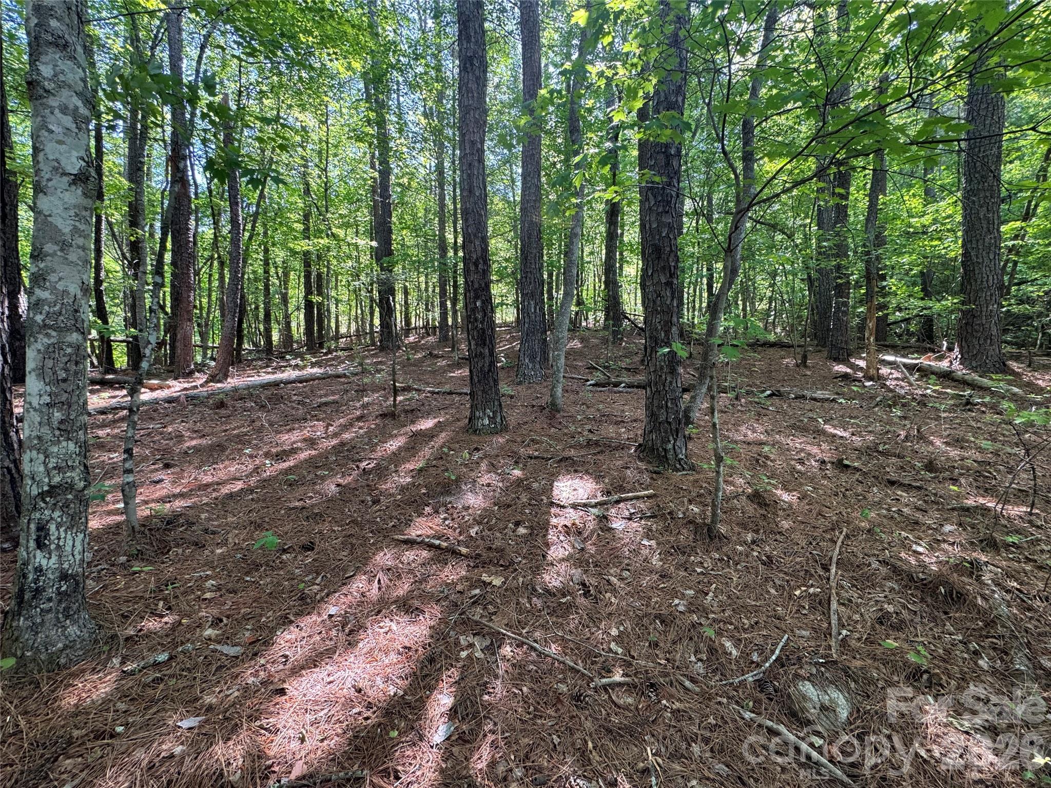 0 Island Creek Road 1