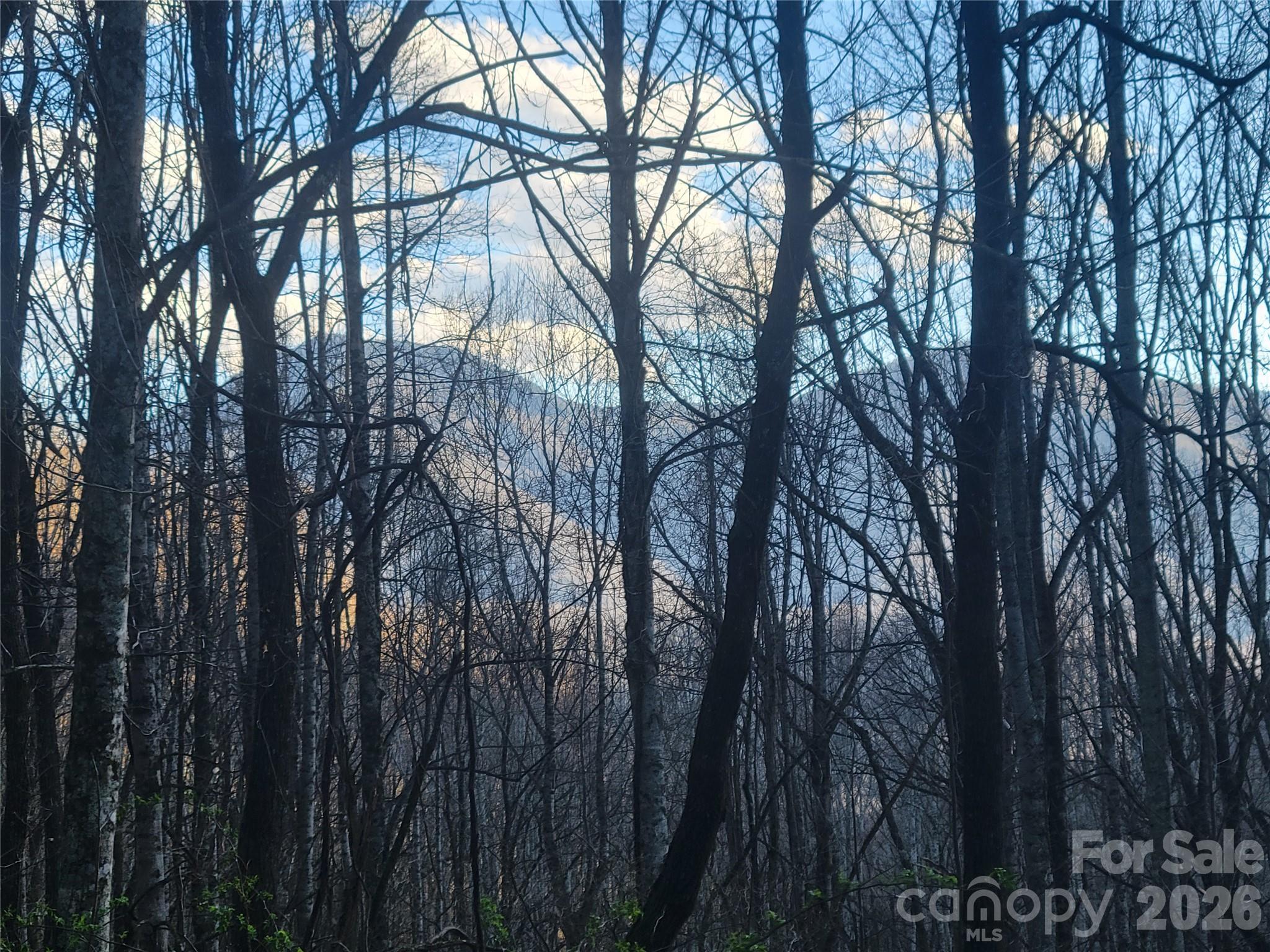 The Cove at Maggie Valley - Land