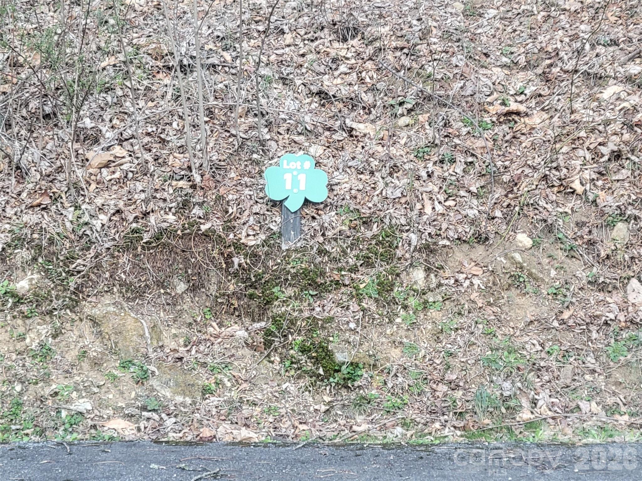 The Cove at Maggie Valley - Land