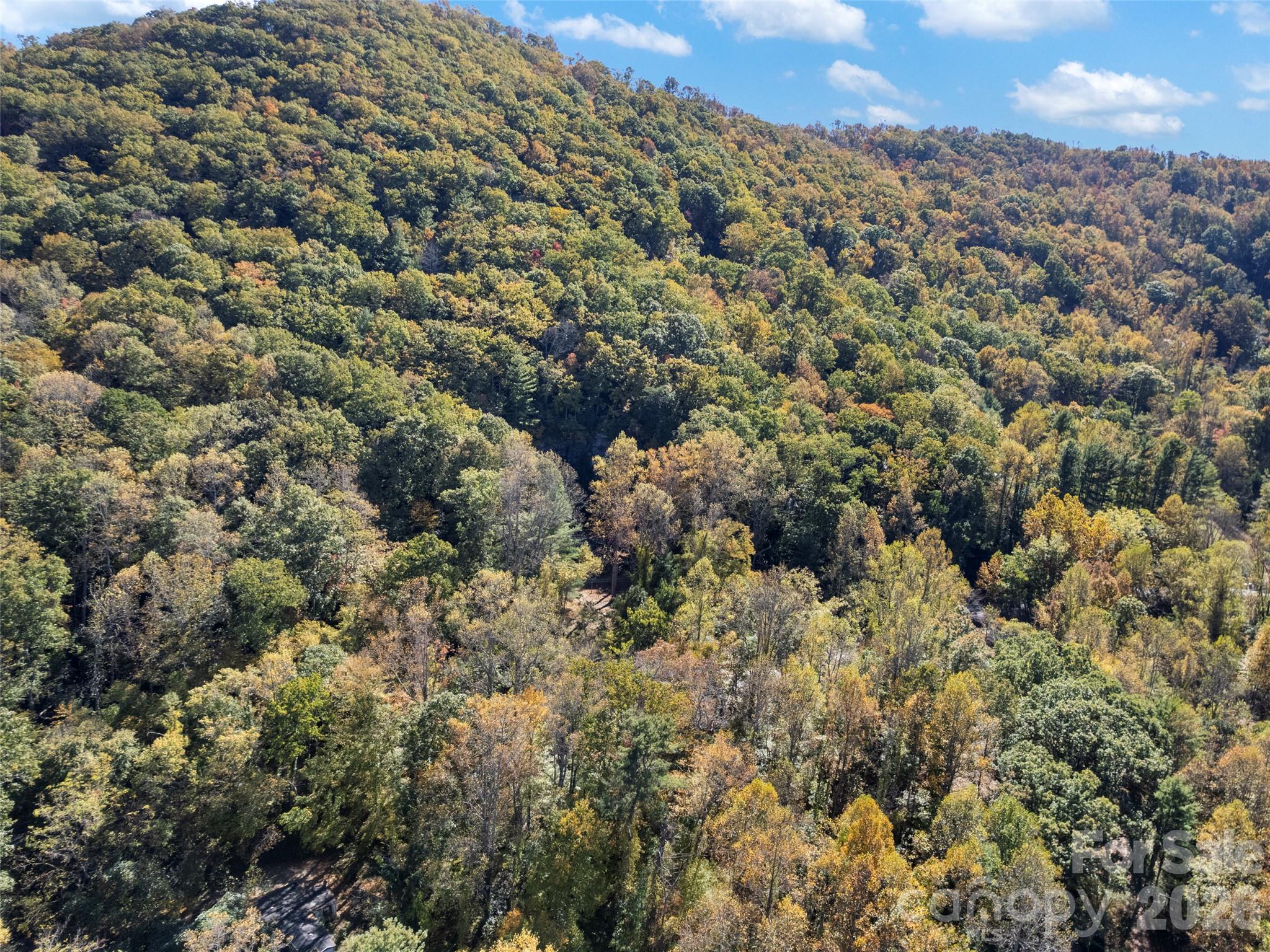 11 Cedar Mountain Road