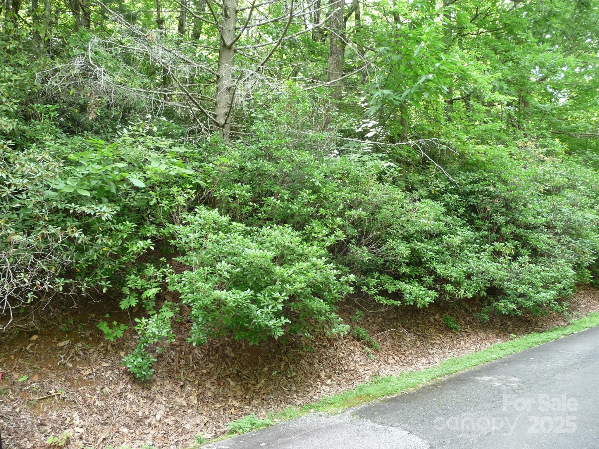 Lot 70 Serpentine Drive Lot 70