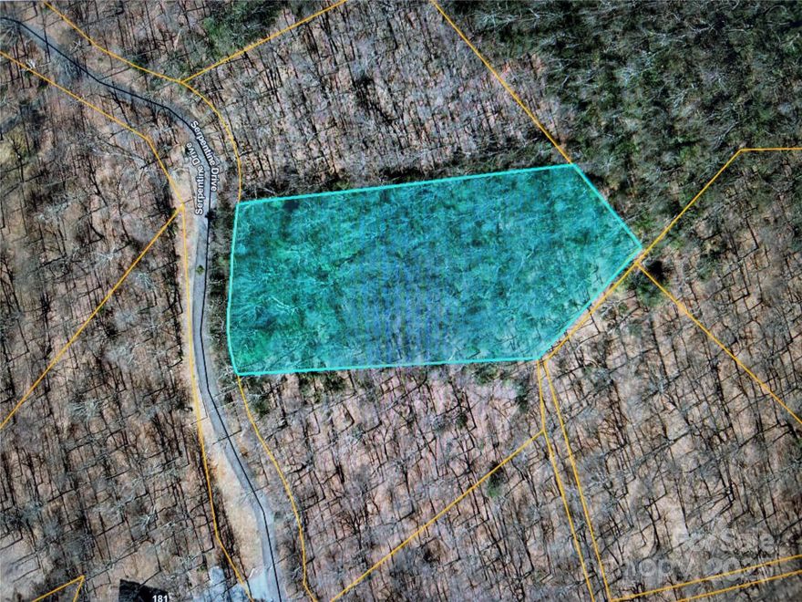 Build your dream mountain home on this gorgeous 1.34 acre homesite in the desirable White Oak Mountain Community! Great sloping property perfect for your mountain home or cabin. White Oak Mountain Association boasts unrivaled views, the glorious Shunkawauken Waterfall, private lakes for fishing and a Community/Private Party Pavillon, walking trails and long range views at the scenic overlook! This lot is adjacent to Lot 35 Morning Ride Rd which is also for sale, combine both for a spacious and private homesite on the mountain! Septic & Well Needed. Close to town Columbus, Tryon, Asheville, and Greenville for shopping, concerts, theatre, hiking, biking, ziplining, great dining, Tryon Equestrian Center with many events and FENCE. Airports Asheville & Greenville within hour plus of this homesite! White Oak Mountain Association website WOMAINC.org.