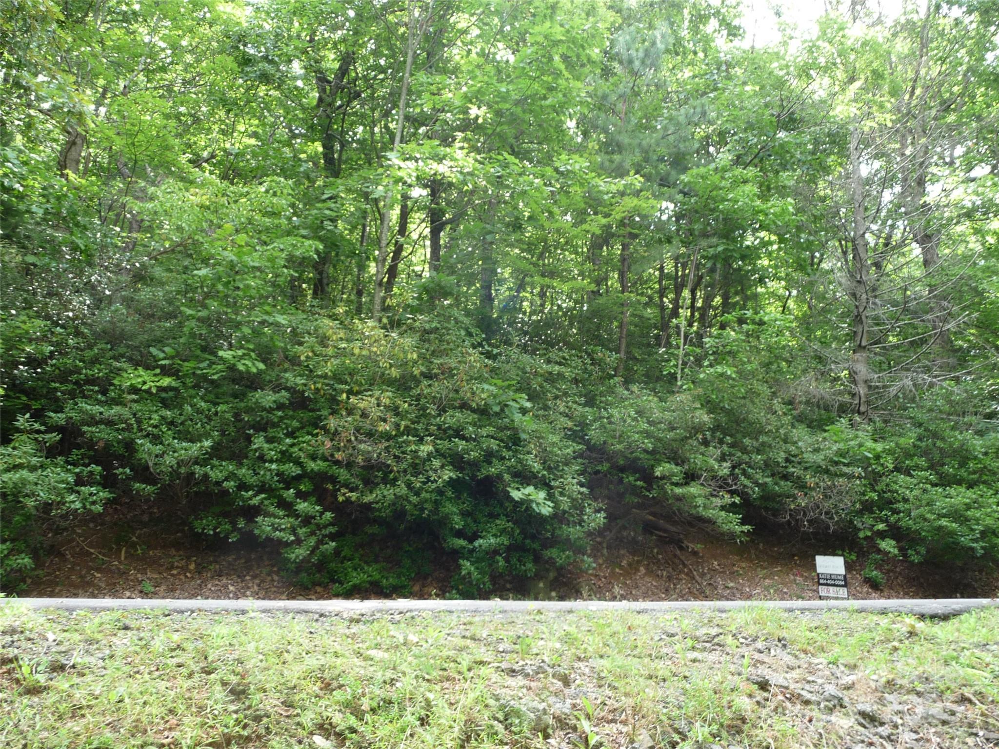 Lot 70 Serpentine Drive Lot 70